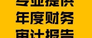 財(cái)務(wù)報(bào)表審計(jì)報(bào)告的費(fèi)用是多少？